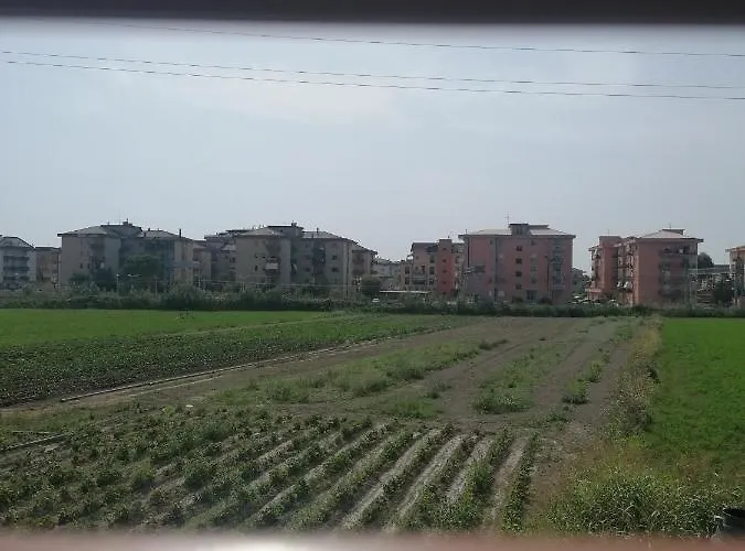 Cilento