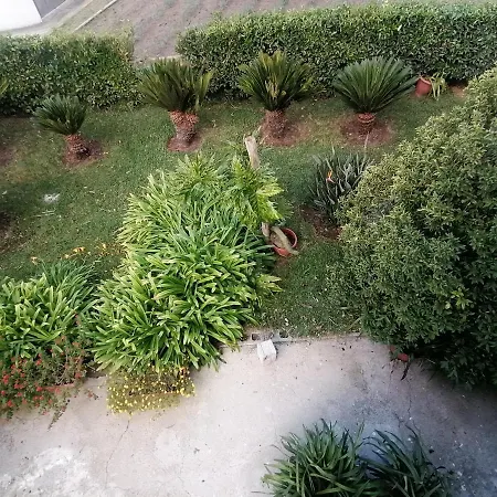 Cilento 3*
