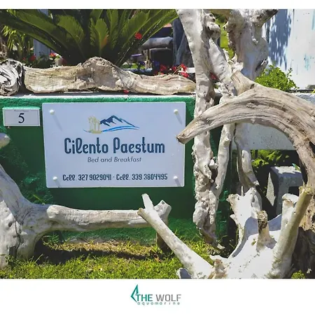 Cilento Couette-café