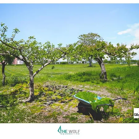 Couette-café Cilento