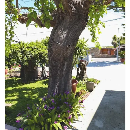 Cilento Couette-café Paestum