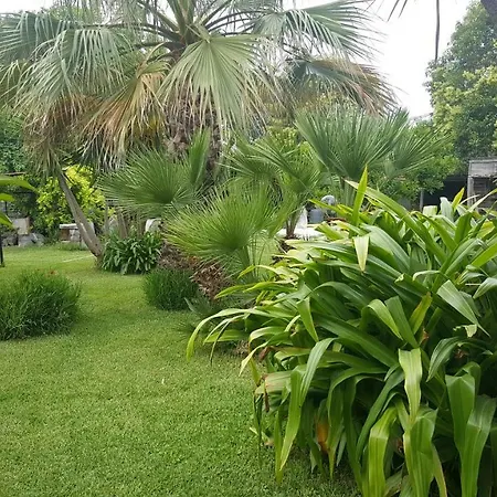 Cilento Bed & Breakfast *