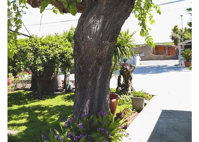 Cilento Panzió Paestum